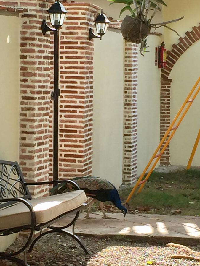 Hotel Yamili Punta Cana Eksteriør billede